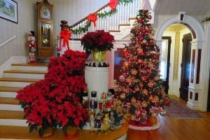 Christmas Time