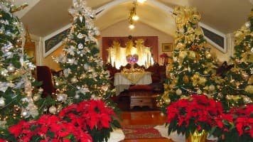Christmas Wonderland
